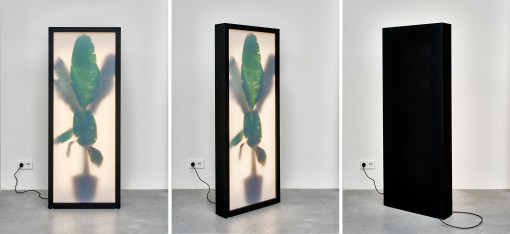 REM atelier, 'Growing Plants Indoors', 156 x 62,5 x 13 cm, hout, plexiglas, led licht, digitale kleurenprint, afstandbediening voor verschillende lichtsterktes.